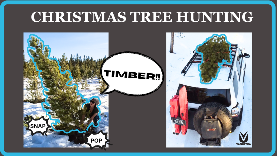 Christmas Tree Hunting with Vanultra: A New Christmas Tradition