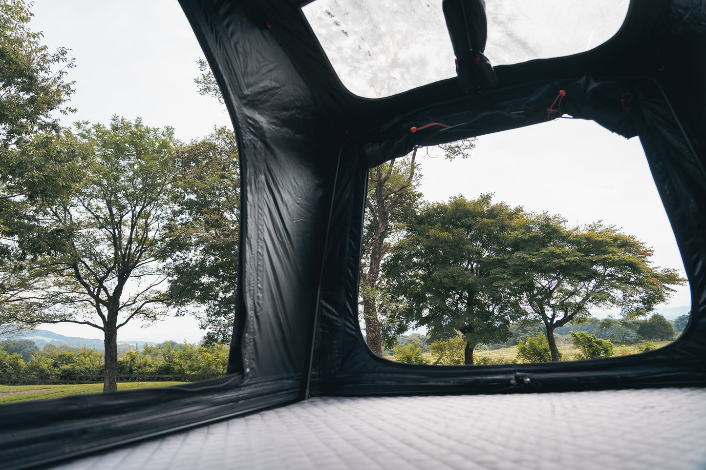 Inside the Intrepid Geo 2.5 looking out over parkland through the mesh windows