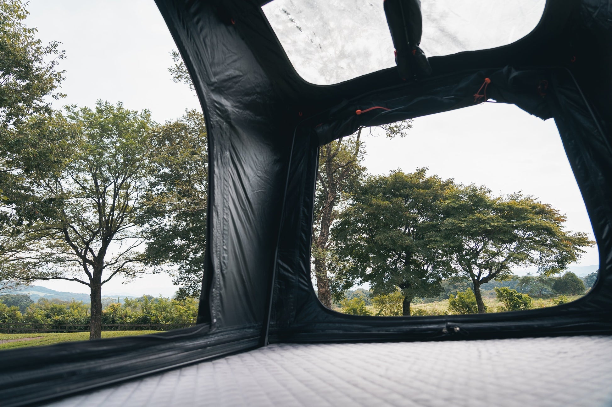 Inside the Intrepid Geo 2.5 looking out over parkland through the mesh windows