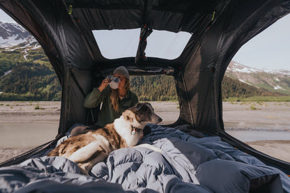 Inside the Intrepid Geo 3.0 with a dog on the bedding, mesh doors open to a glacial valley